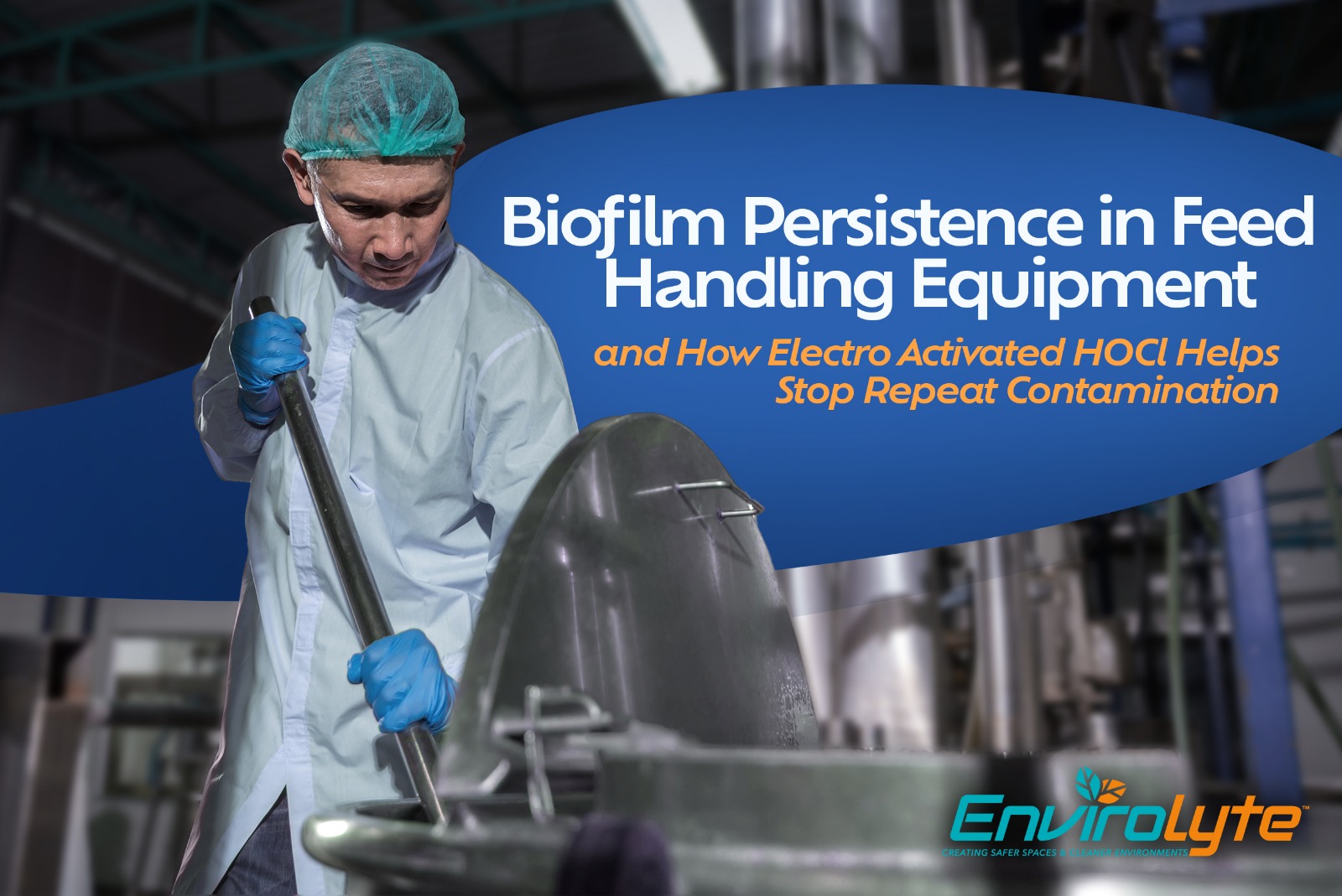 Biofilm persistence in feed handling equipment and sanitation challenges in feed mills