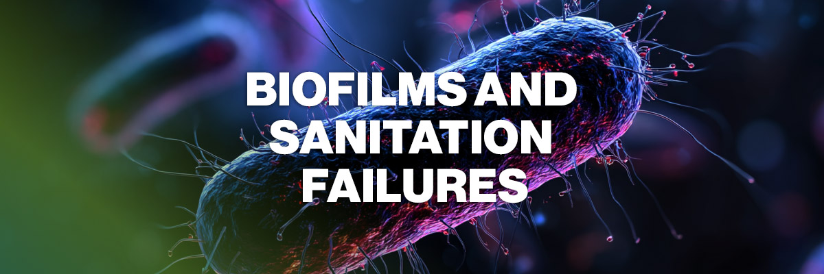 Biofilms and Sanitation Failures