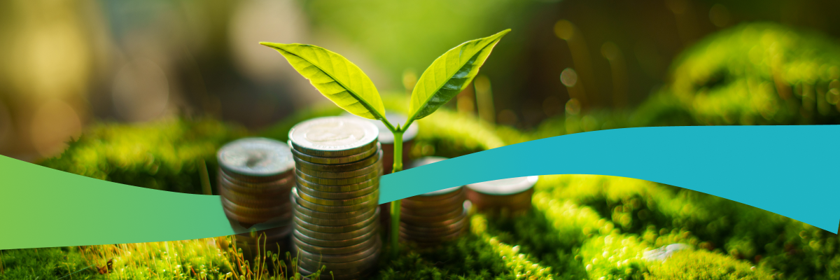 Sustainability That Pays the Bill: When Operational Efficiency Becomes a Competitive Advantage