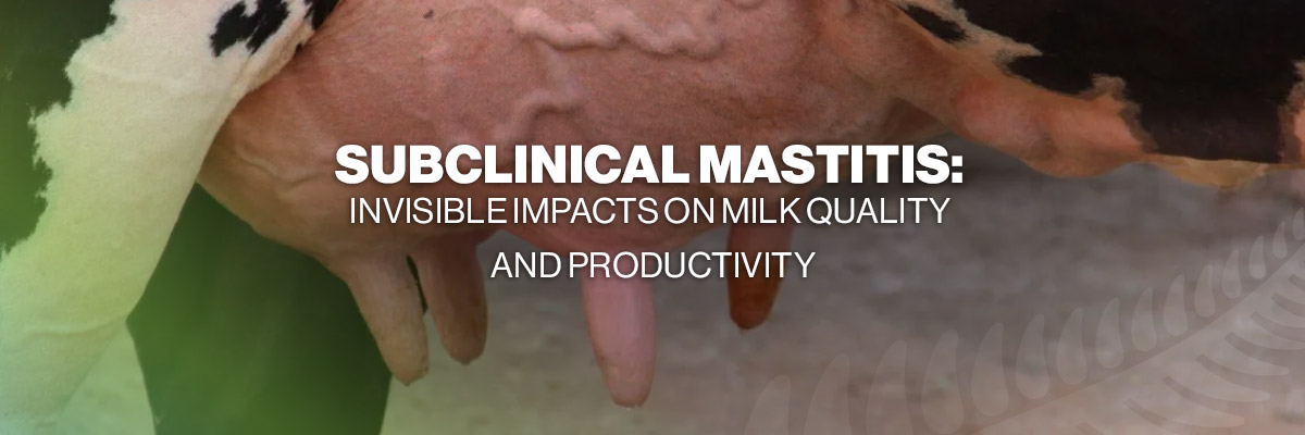 Subclinical Mastitis: Invisible Impacts on Milk Quality and Productivity